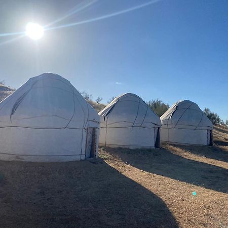 Hotel Authentic Uzbek Yurt Camp Eco-Friendly Nurota Zewnętrze zdjęcie
